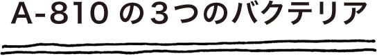 A-810の３つのバクテリア