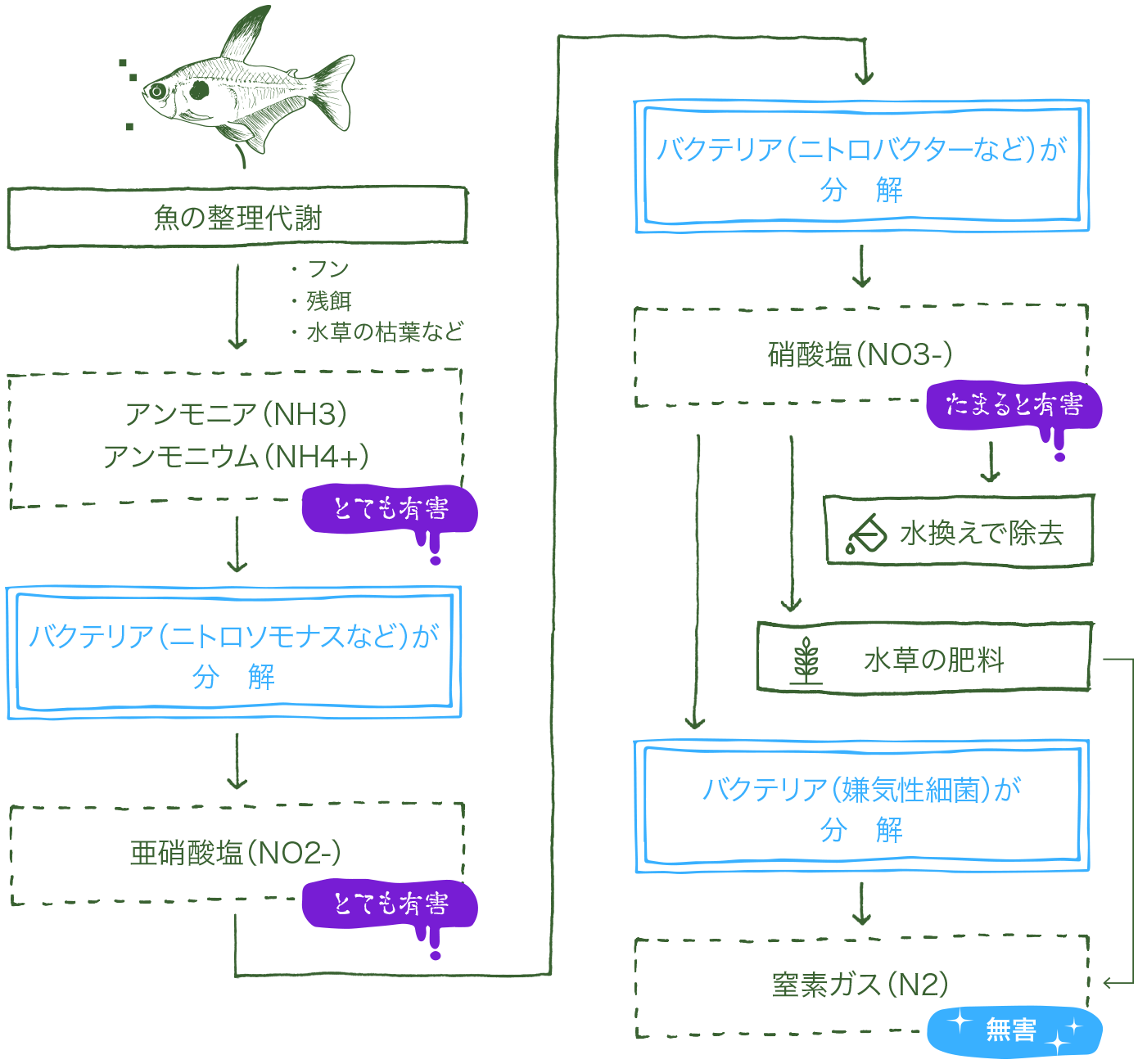 水槽内のサイクル