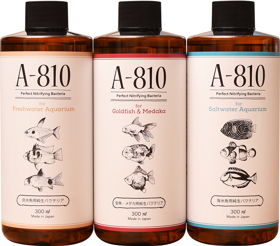 A-810 水質浄化バクテリア