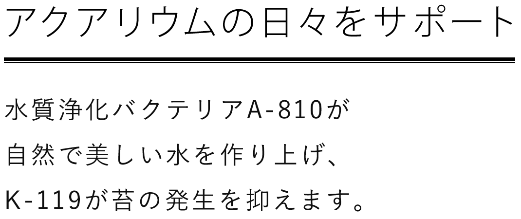 アクアリウムの日々をサポート 純正バクテリアA-810が自然で美しい水を作り上げ、K-119が苔の発生を抑えます。