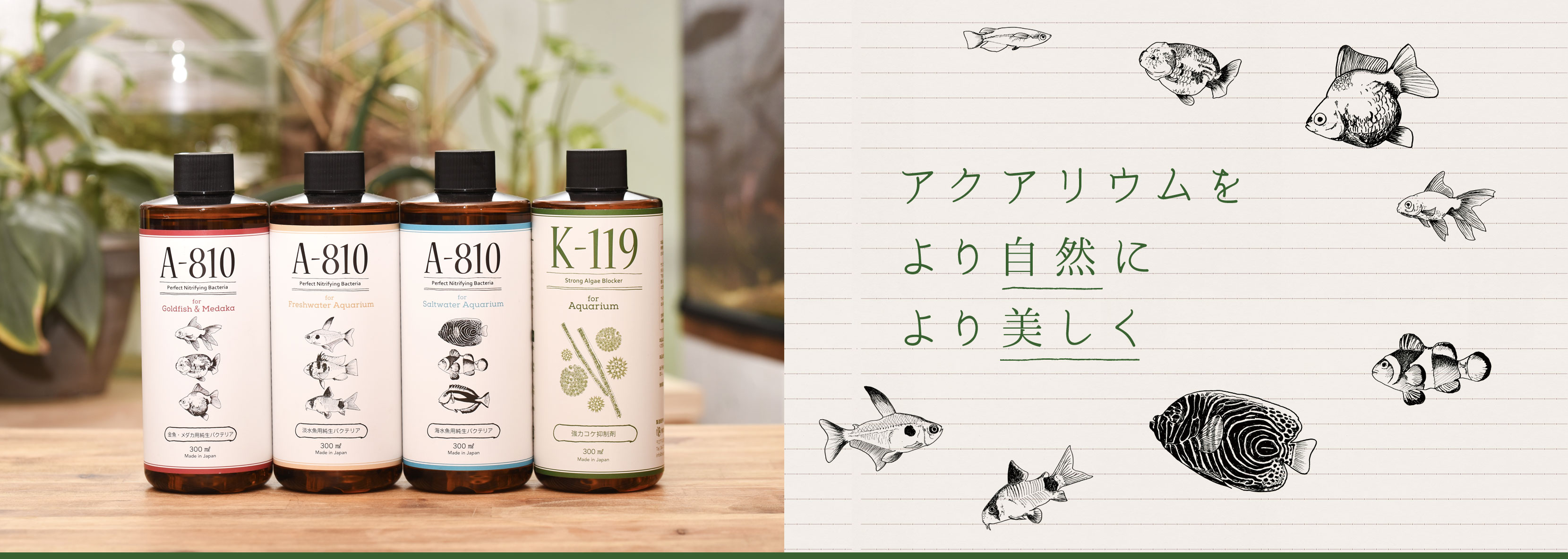 アクアリウムをより自然に より美しく