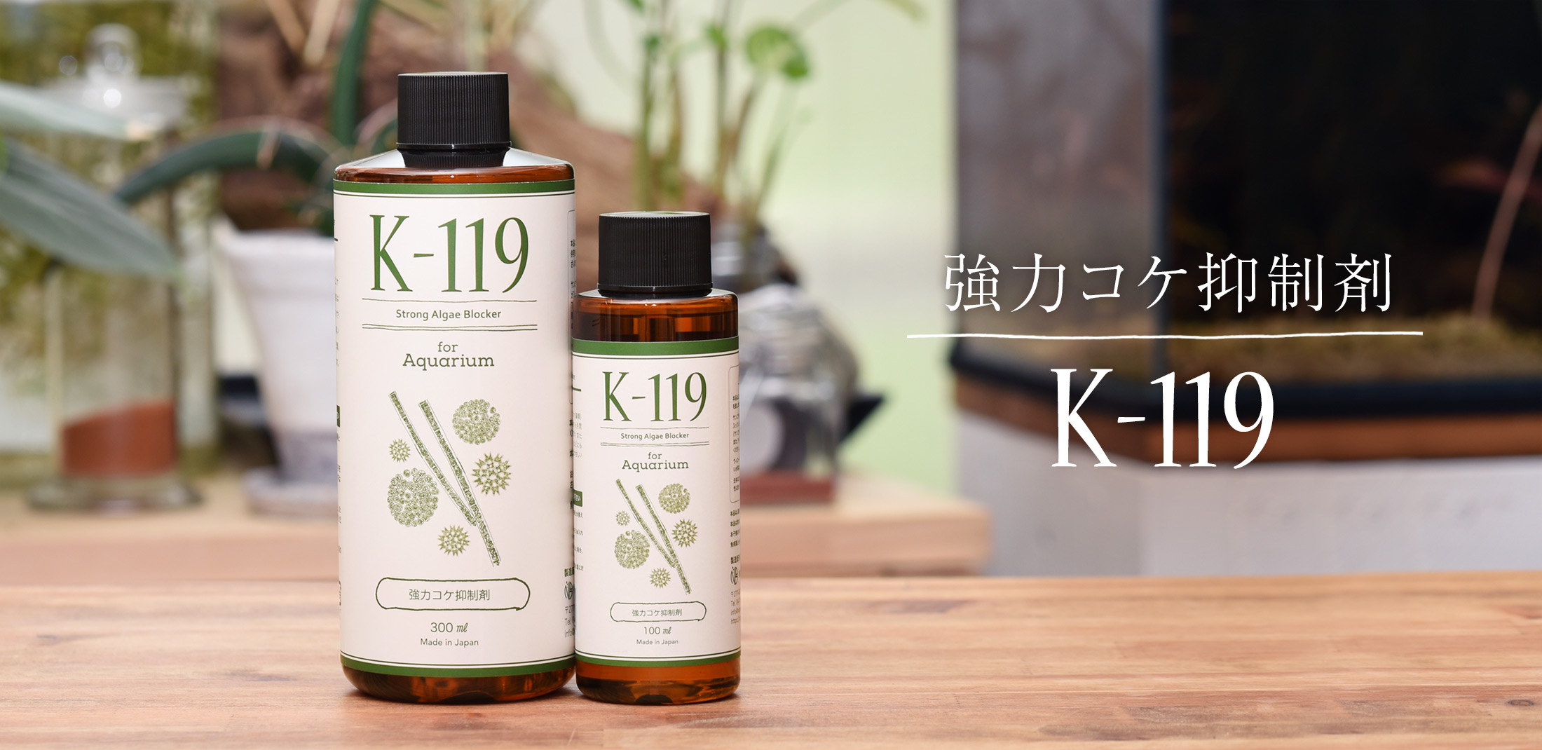 強力コケ抑制薬 K-119